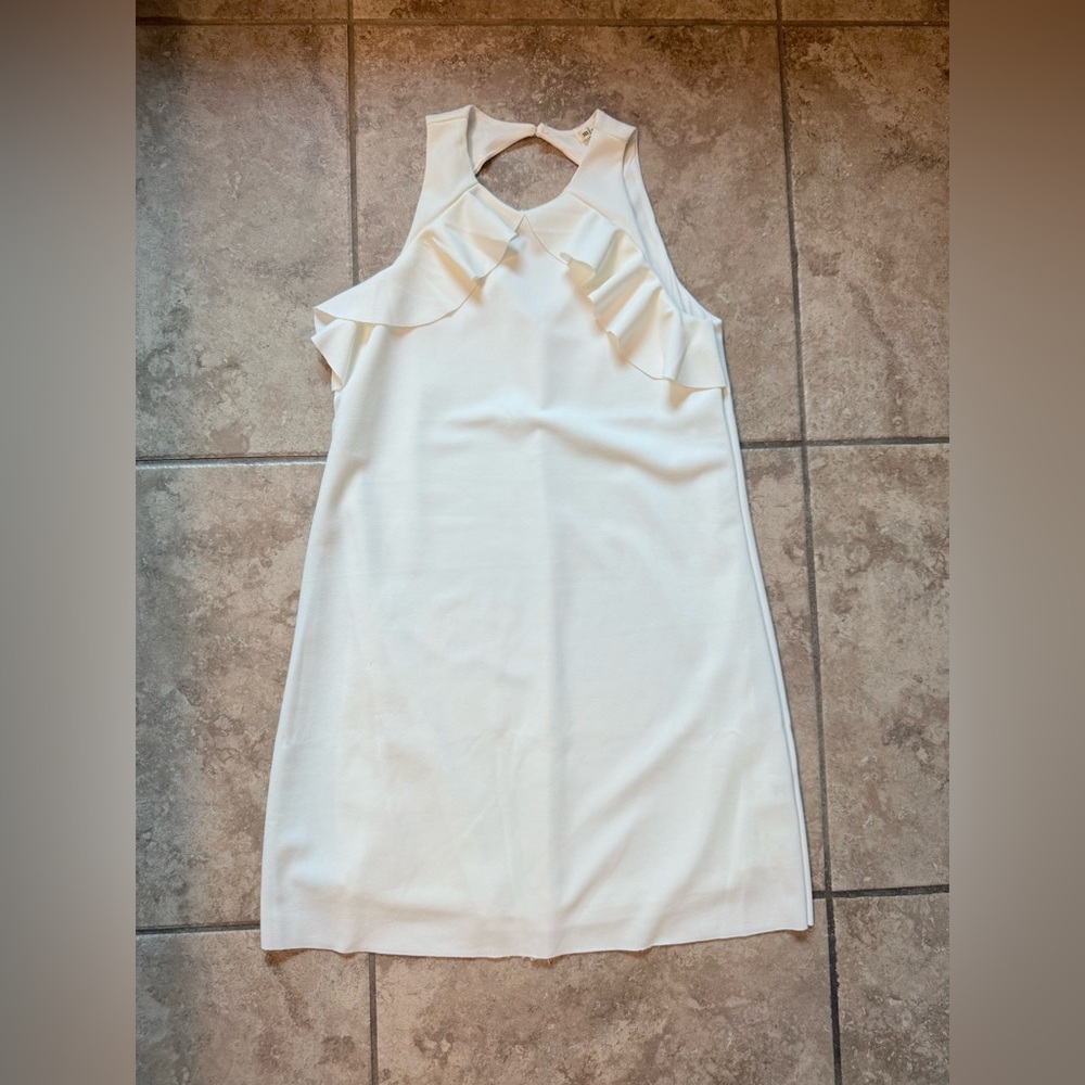 Francesca’s Miami Ivory Ruffle Mini Dress